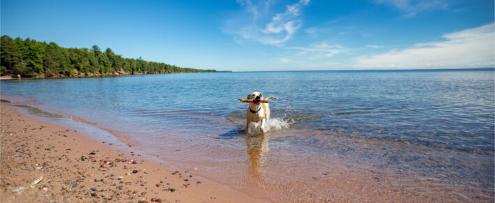 Big Bay Beach
